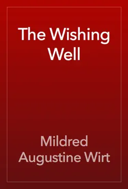 the wishing well book cover image