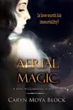 Aerial Magic synopsis, comments