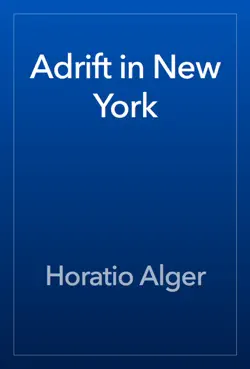 adrift in new york book cover image