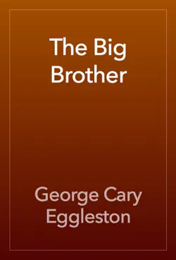 the big brother book cover image