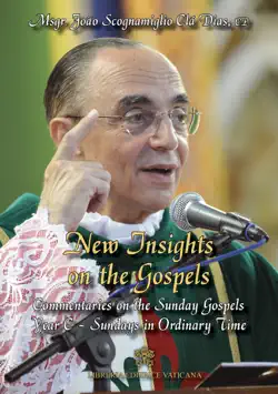 new insights on the gospels - volume vi book cover image