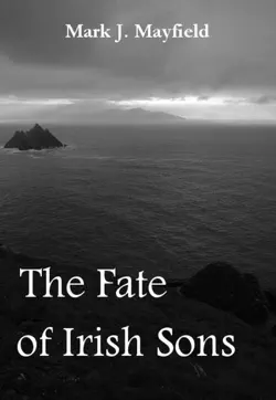 the fate of irish sons book cover image