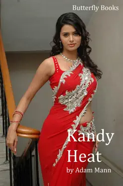 kandy heat book cover image