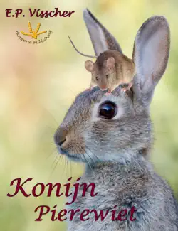 konijn pierewiet imagen de la portada del libro