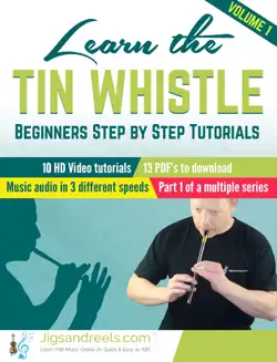 how to play tin whistle book cover image