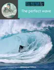 The perfect wave sinopsis y comentarios