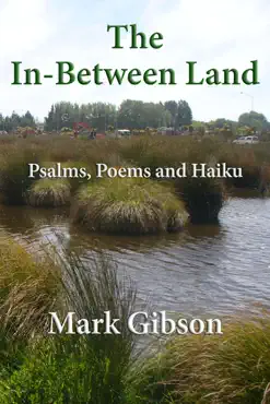 the in-between land: psalms, poems and haiku book cover image