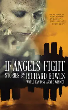 if angels fight book cover image