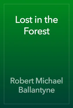 lost in the forest book cover image