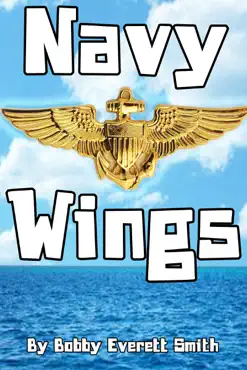 navy wings book cover image