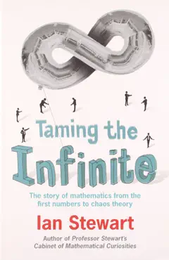taming the infinite book cover image