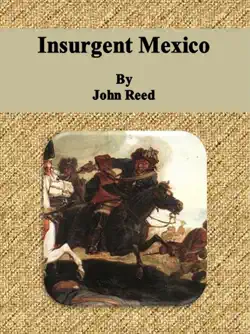 insurgent mexico book cover image