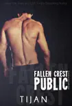 Fallen Crest Public synopsis, comments
