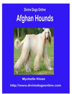 afghan hounds book cover image