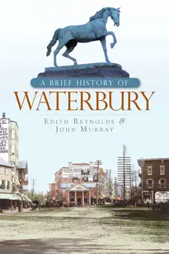 a brief history of waterbury book cover image