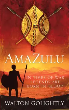 amazulu book cover image