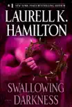 Swallowing Darkness synopsis, comments