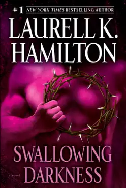swallowing darkness book cover image