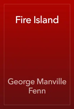 fire island book cover image