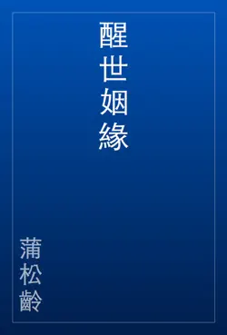 醒世姻緣 book cover image