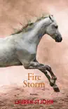 Fire Storm synopsis, comments