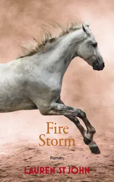 fire storm book cover image