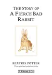 The Story of a Fierce Bad Rabbit sinopsis y comentarios