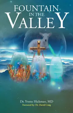 fountain in the valley book cover image