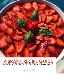 vibrant recipe guide book cover image