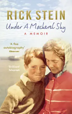 under a mackerel sky book cover image