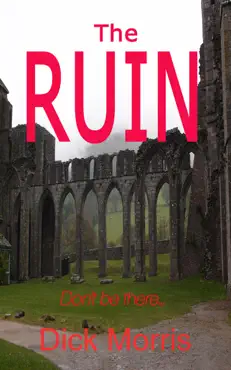 the ruin book cover image