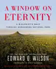 A Window on Eternity synopsis, comments