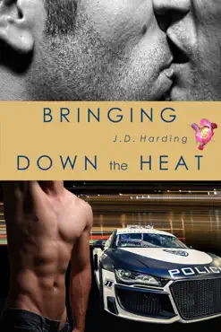bringing down the heat book cover image
