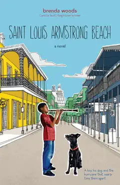 saint louis armstrong beach book cover image