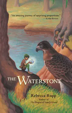 the waterstone book cover image