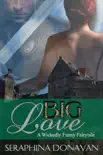 Big Love synopsis, comments