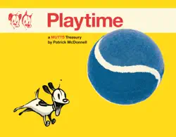 playtime book cover image
