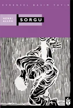 sorgu book cover image