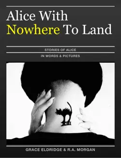 alice with nowhere to land book cover image