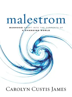malestrom book cover image