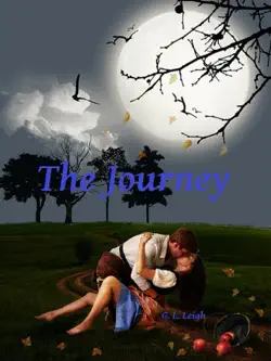 the journey book cover image