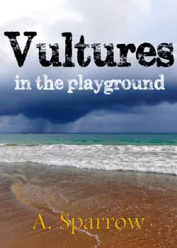 vultures in the playground book cover image
