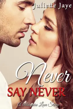 never say never (a billionaire love story) book cover image