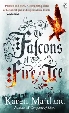 the falcons of fire and ice imagen de la portada del libro