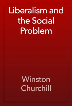 liberalism and the social problem book cover image