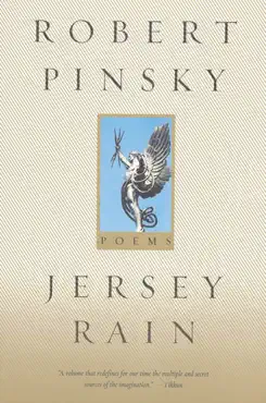 jersey rain imagen de la portada del libro