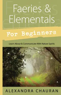 faeries & elementals for beginners book cover image
