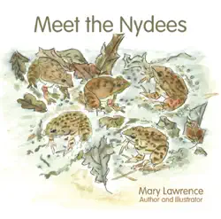 meet the nydees book cover image