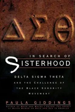 in search of sisterhood book cover image