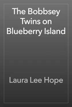 the bobbsey twins on blueberry island book cover image